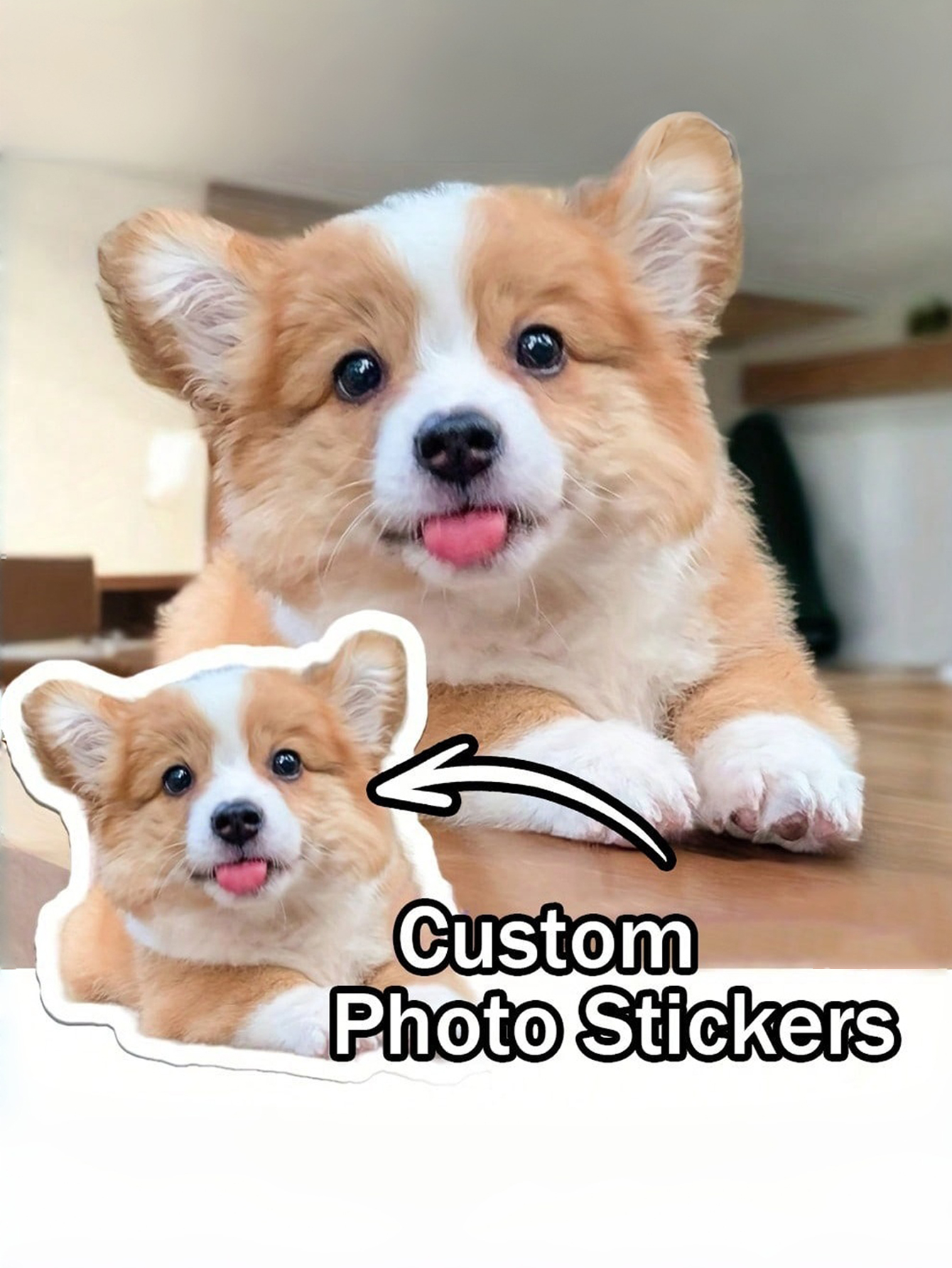 Customized Personalized Photo Stickers Pet Photo Stickers